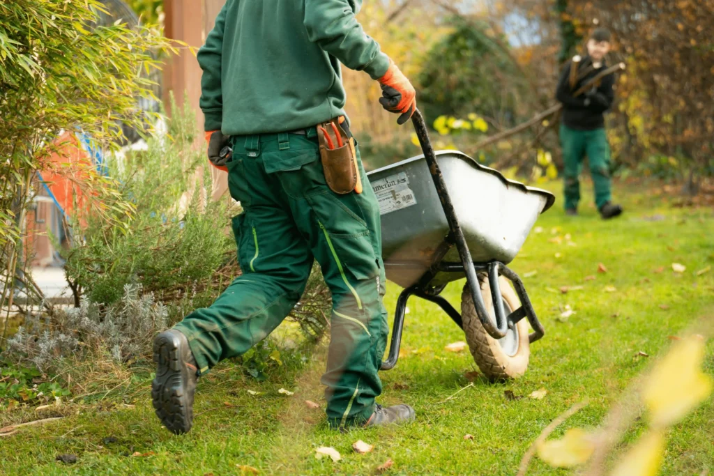 fall landscaping checklist