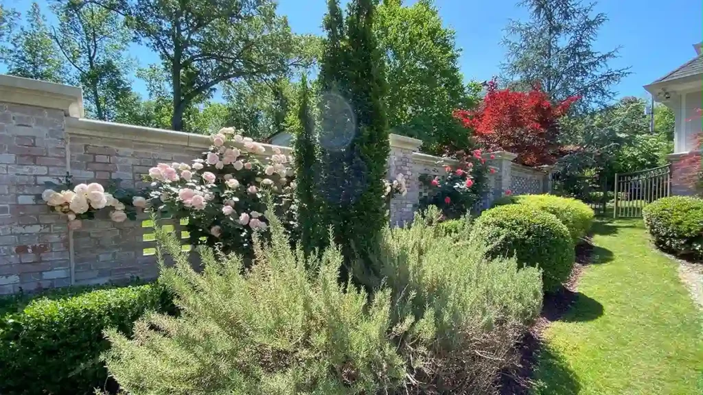 Understanding Your Home’s Lawn Care Needs