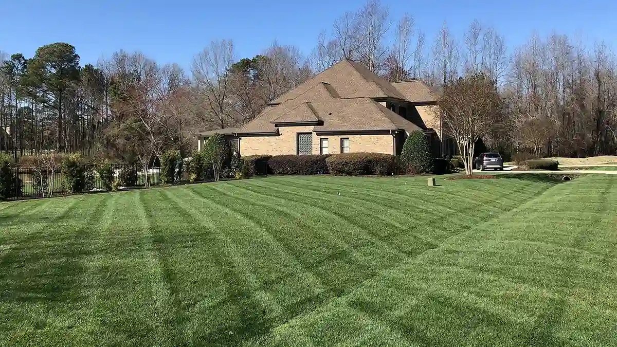 Landscaping Services Raleigh from Dreamscapes LLC | Photo of landscaped yard