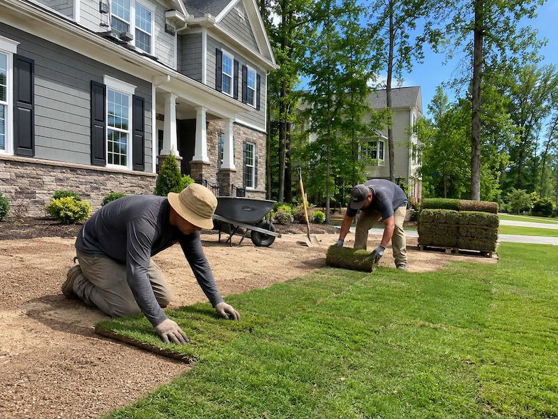 sod installation in raleigh