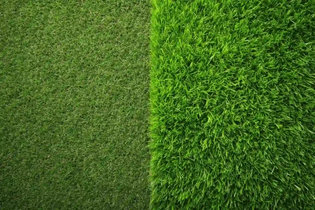 weed control and fertilization in raleigh