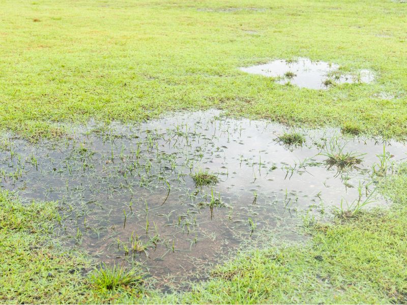 raleigh nc yard runoff solutions